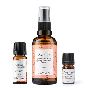 ערכה לתמיכה בלידה